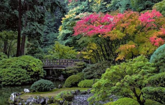 Portland Japanese Garden